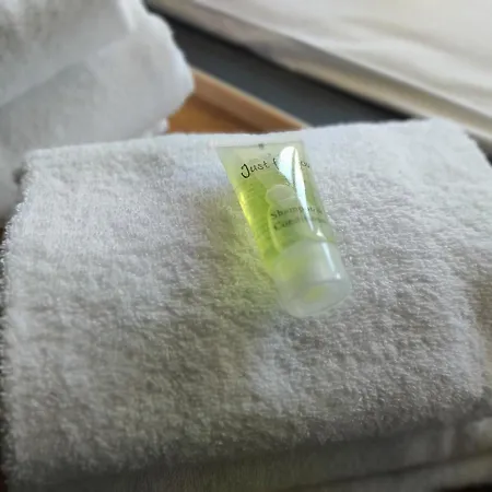 Ng Suitehome - Lille I Blanc Seau - Duplex - Balneo - Netflix - Wifi - Kitchenette