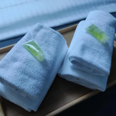 Ng Suitehome - Lille I Blanc Seau - Duplex - Balneo - Netflix - Wifi - Kitchenette Apartment *