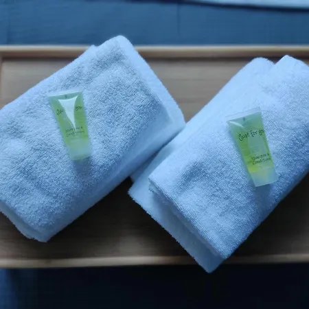 Ng Suitehome - Lille I Blanc Seau - Duplex - Balneo - Netflix - Wifi - Kitchenette *